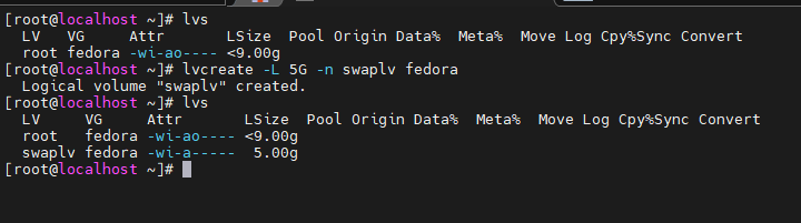 Logical Volume for SWAP